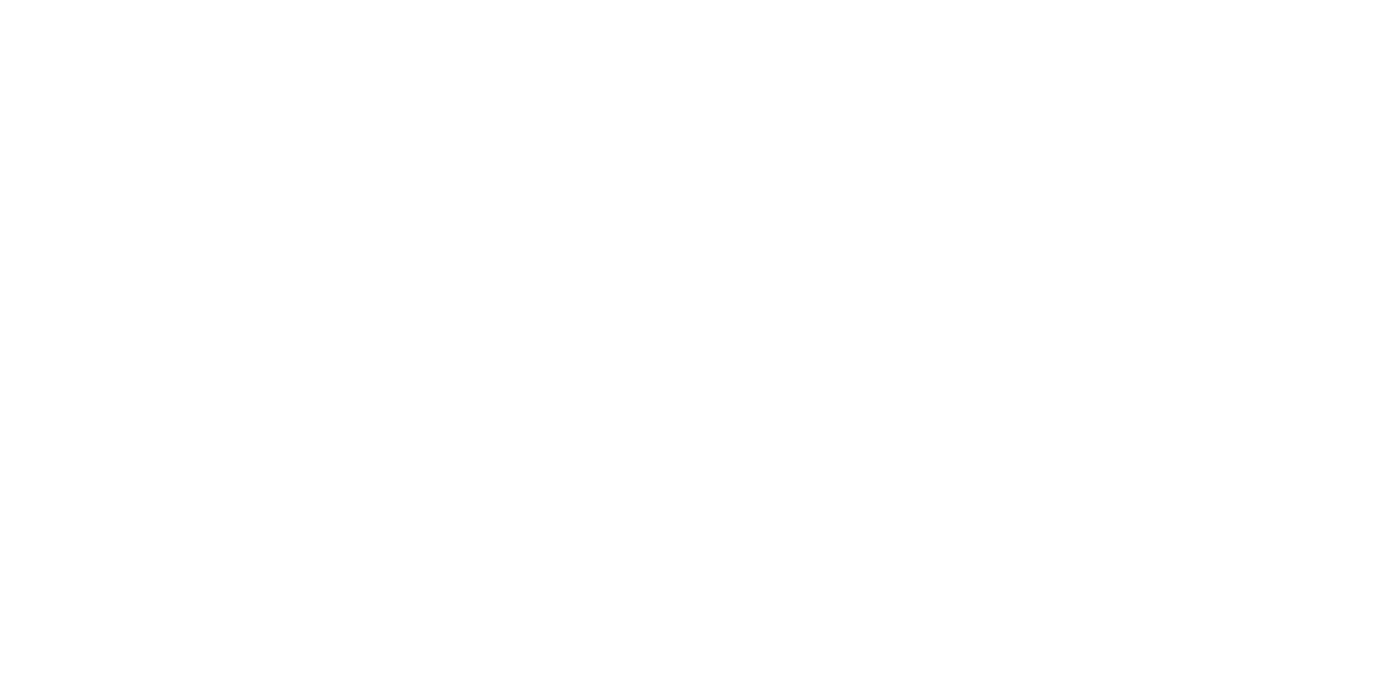 Grupo Fly